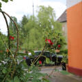 Image 15