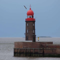 Image 15