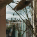 Image 18