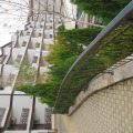Image 15