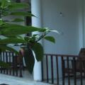Heavens Holiday Resort