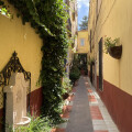 Image 13