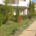 Image 11