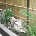 Image 24
