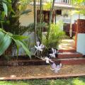 Angel Villa