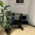 Image 13