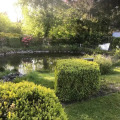 Image 13