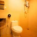 De Botani Hotel