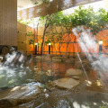 Image 22