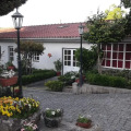 Image 19