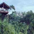 Jetwing Vil Uyana