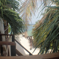 Image 15