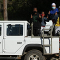 Image 13