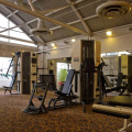 Image 22