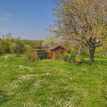 Image 21