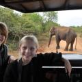 Mahoora Tented Safari Camp - Yala