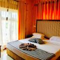 Single Tree Hotel