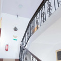 Image 11