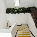 Image 13