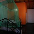 Tea Garden Holiday Inn