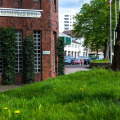 Image 31