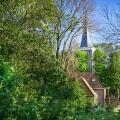 Image 15