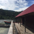 Image 13