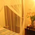 Dionis Villa