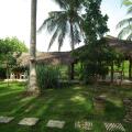 Coconut Island
