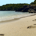 Image 18