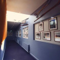 Image 15