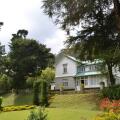 Brockenhurst Bungalow