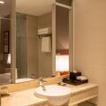 Equatorial Ho Chi Minh