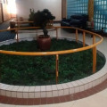 Image 13