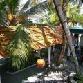 Frangipani Beach Villa