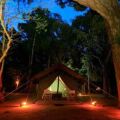 Leopard Trails Yala