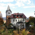 Image 8