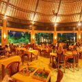 Mara River Safari Lodge Bali