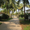 Novotel Goa Dona Sylvia Hotel