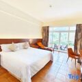 Golden Palm Resort