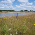 Image 13