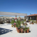 Image 15