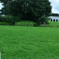 Image 14