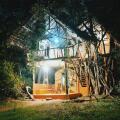 Back Of Beyond - Dehigaha Ela