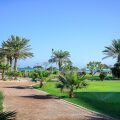 Danat Jebel Dhanna Resort