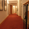 Image 15