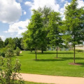 Image 31