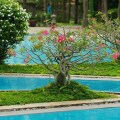 Muine Century Beach Resort & Spa
