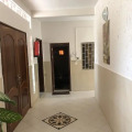 Image 15