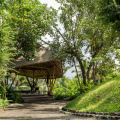 Buahan, A Banyan Tree Escape
